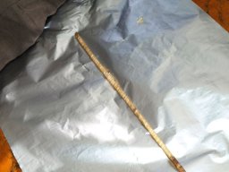 285744_10150261348804901_7217170_n